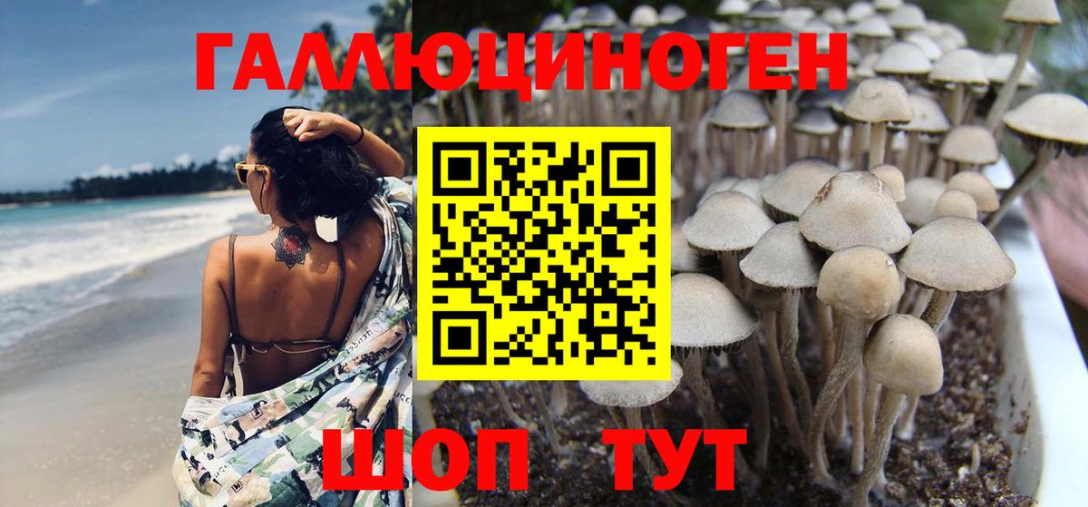 Псилоцибиновые грибы Cubensis  где купить наркотик  Ейск  Вход с VPN  Галлюциногенные грибы Psilocybine cubensis 
